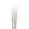 Northlight 4' LED Lighted White Birch Twig Tree Cluster Christmas Decoration